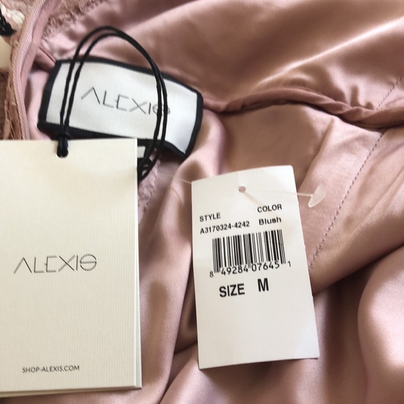 Alexis lace beautiful blush  👗 - Picture 6 of 7